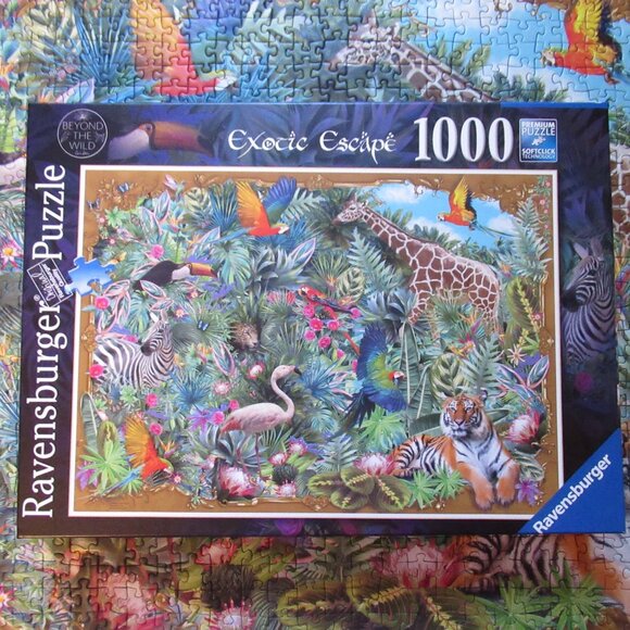 Exotic Escape Puzzle - Picture 4 of 16